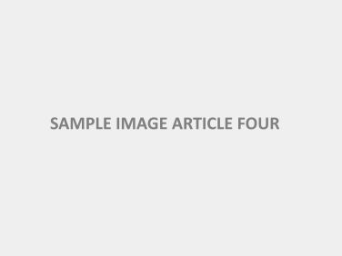 sample-image-article-four