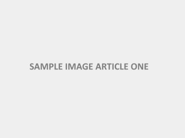 sample-image-article-one