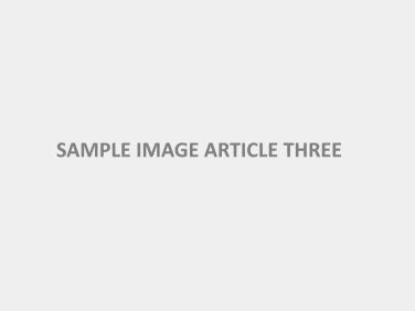 sample-image-article-three